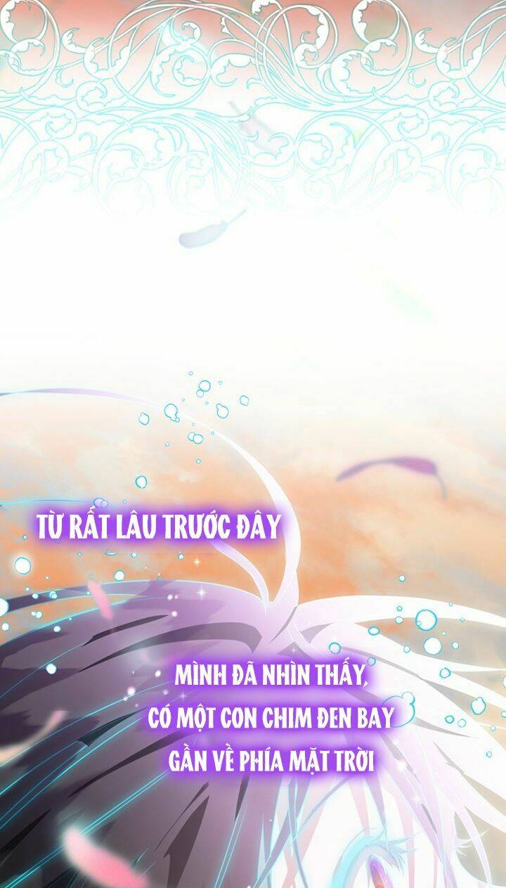 bong-nhien-toi-tro-thanh-qua-den/49