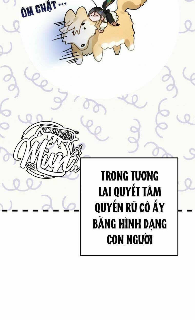 bong-nhien-toi-tro-thanh-qua-den/42