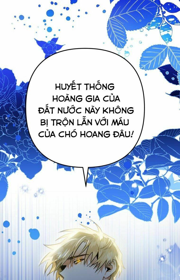 bong-nhien-toi-tro-thanh-qua-den/76