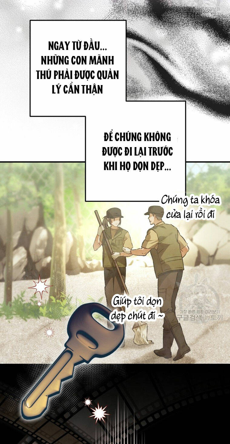 bong-nhien-toi-tro-thanh-qua-den/12