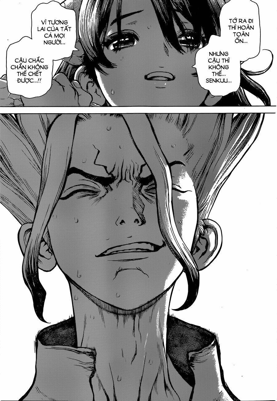 dr-stone-hoi-sinh-the-gioi/12