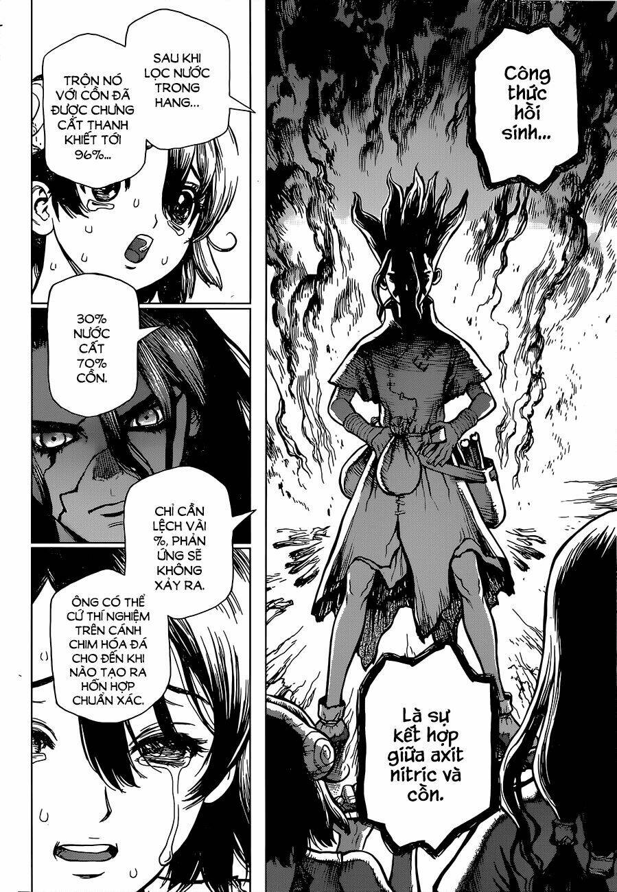 dr-stone-hoi-sinh-the-gioi/13