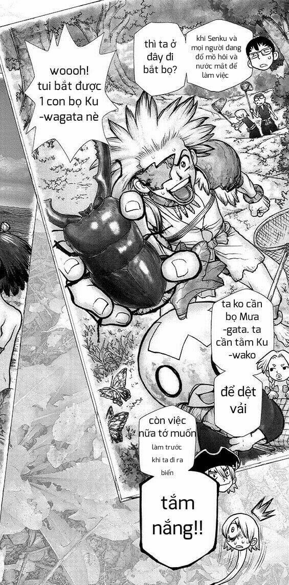 dr-stone-hoi-sinh-the-gioi/10