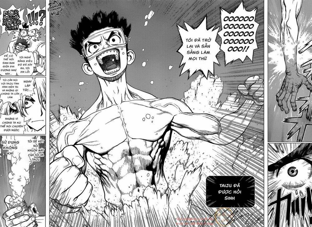 dr-stone-hoi-sinh-the-gioi/11