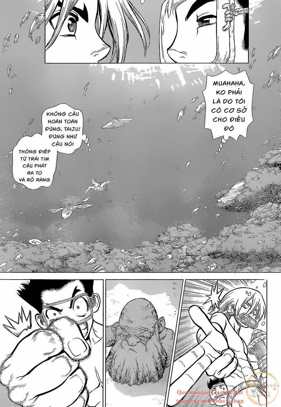 dr-stone-hoi-sinh-the-gioi/15