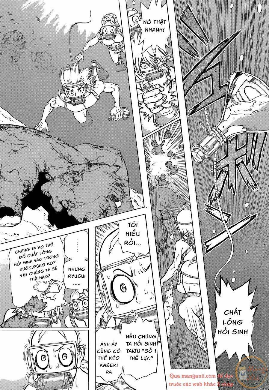 dr-stone-hoi-sinh-the-gioi/7