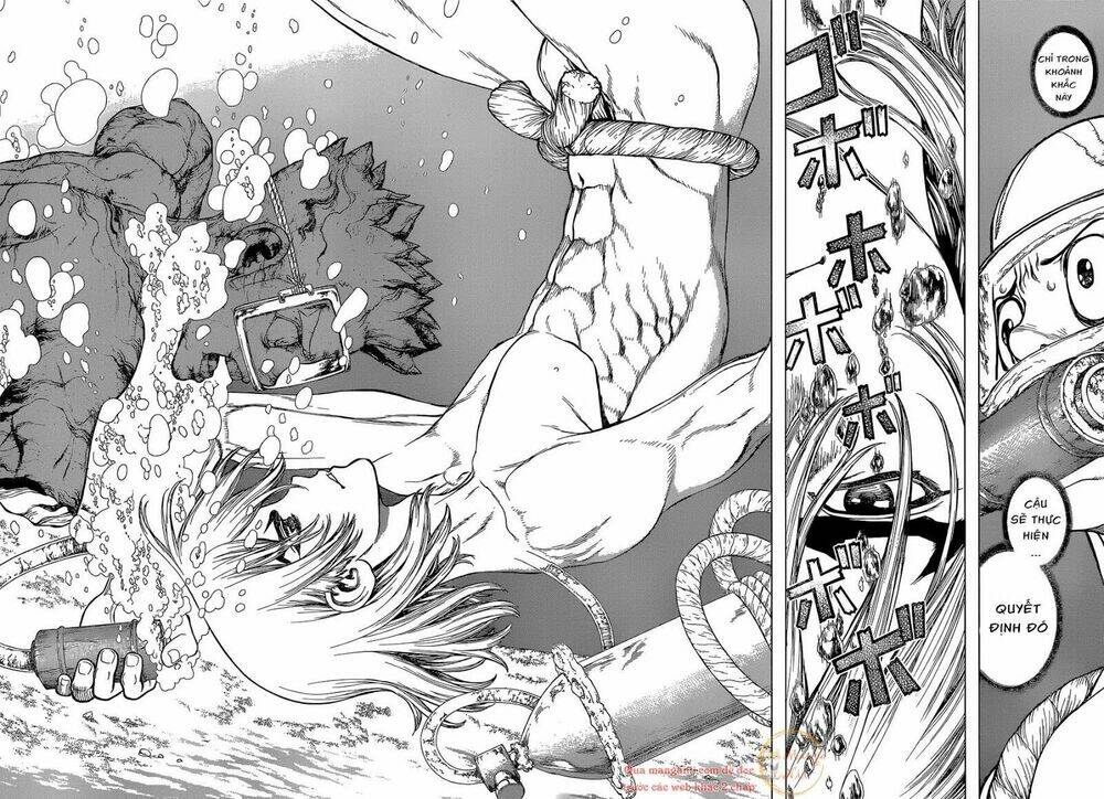 dr-stone-hoi-sinh-the-gioi/8