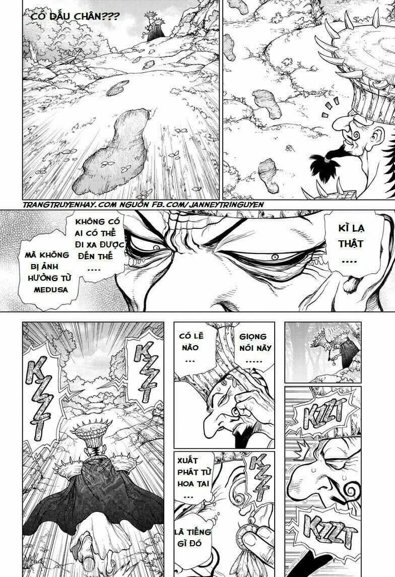 dr-stone-hoi-sinh-the-gioi/13