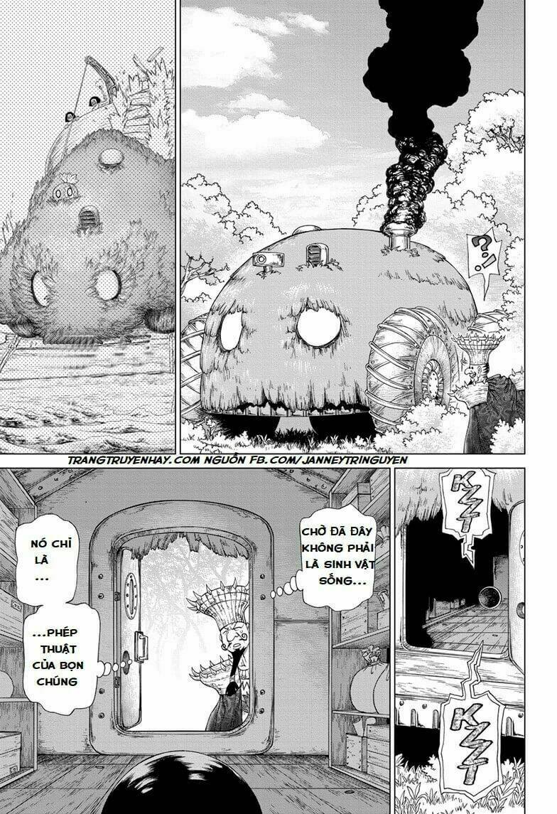 dr-stone-hoi-sinh-the-gioi/14