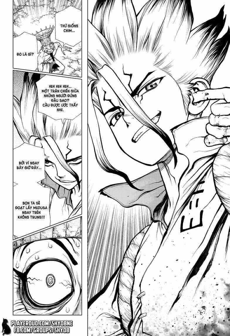 dr-stone-hoi-sinh-the-gioi/16