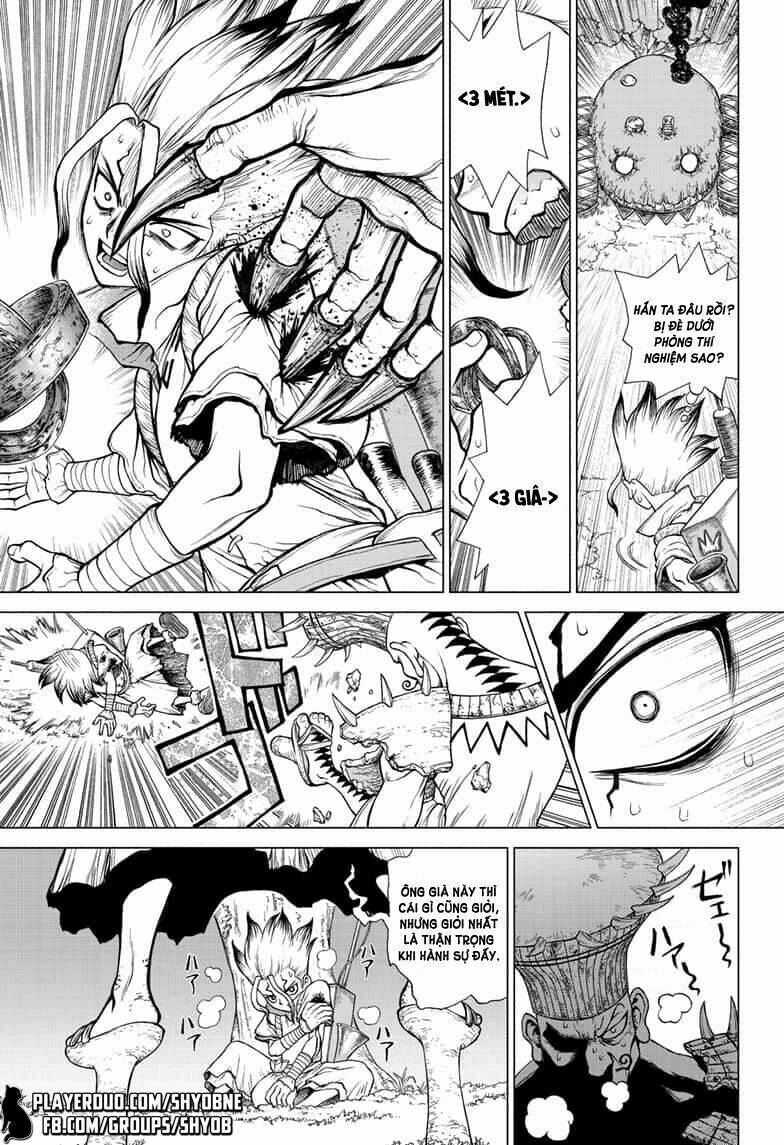 dr-stone-hoi-sinh-the-gioi/3