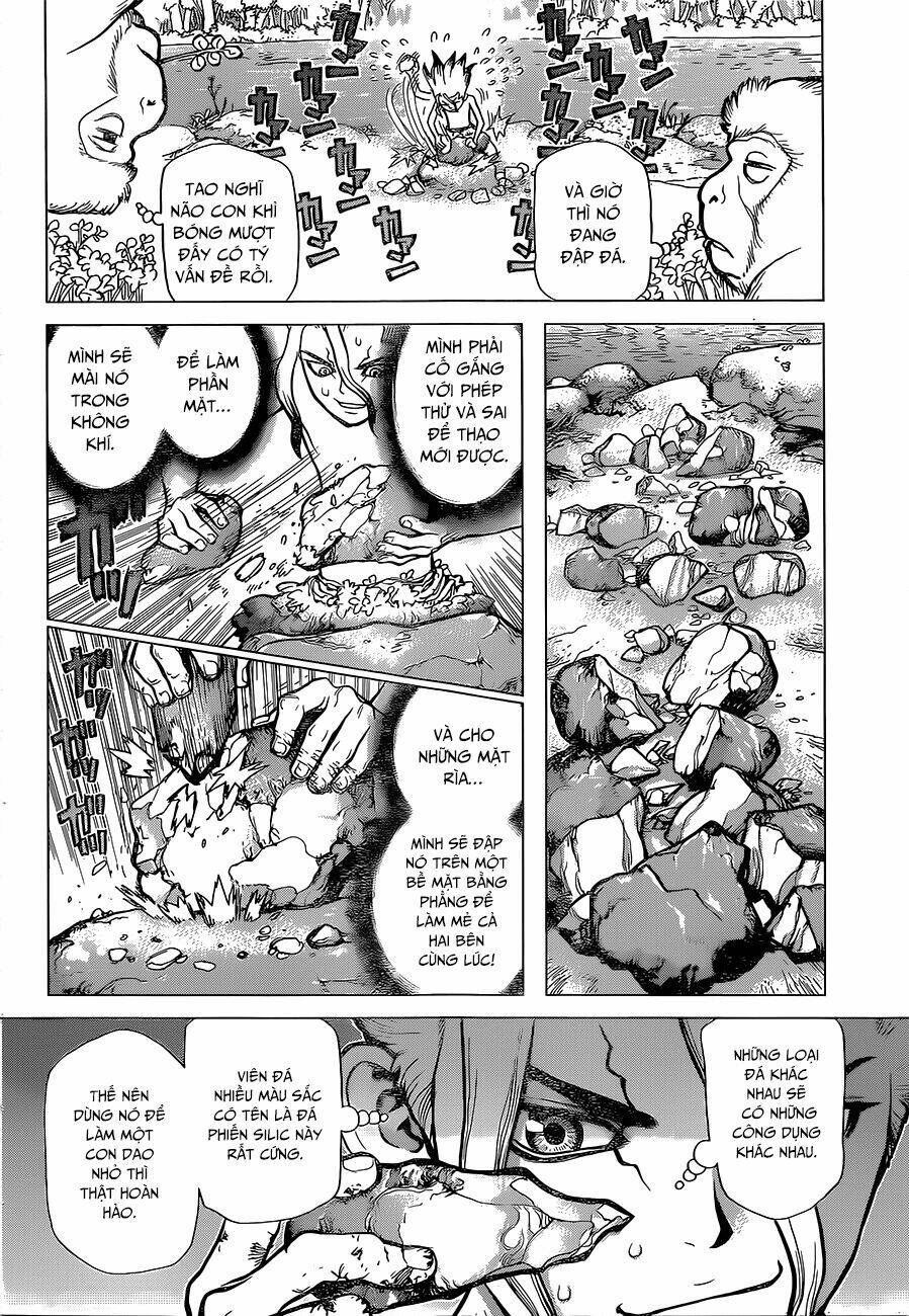 dr-stone-hoi-sinh-the-gioi/11