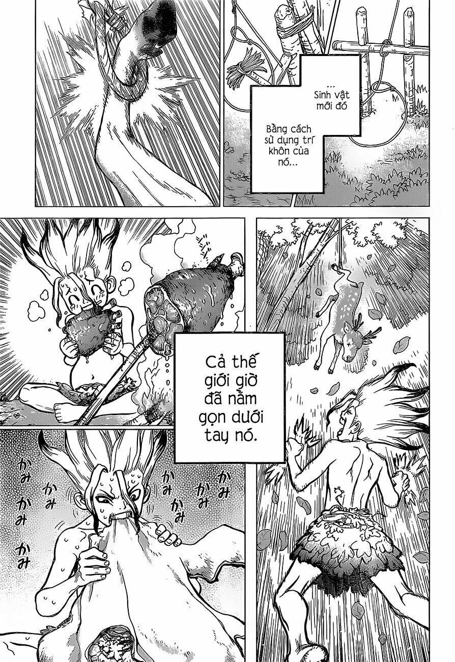 dr-stone-hoi-sinh-the-gioi/16