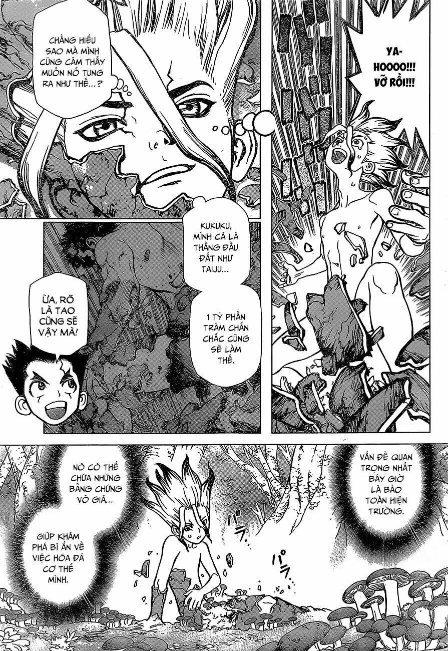 dr-stone-hoi-sinh-the-gioi/3