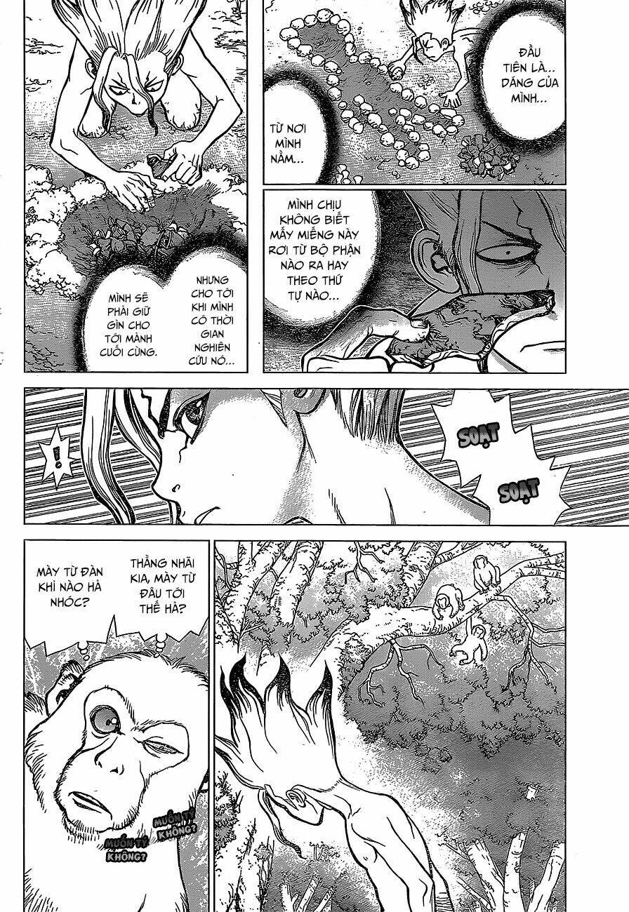 dr-stone-hoi-sinh-the-gioi/4