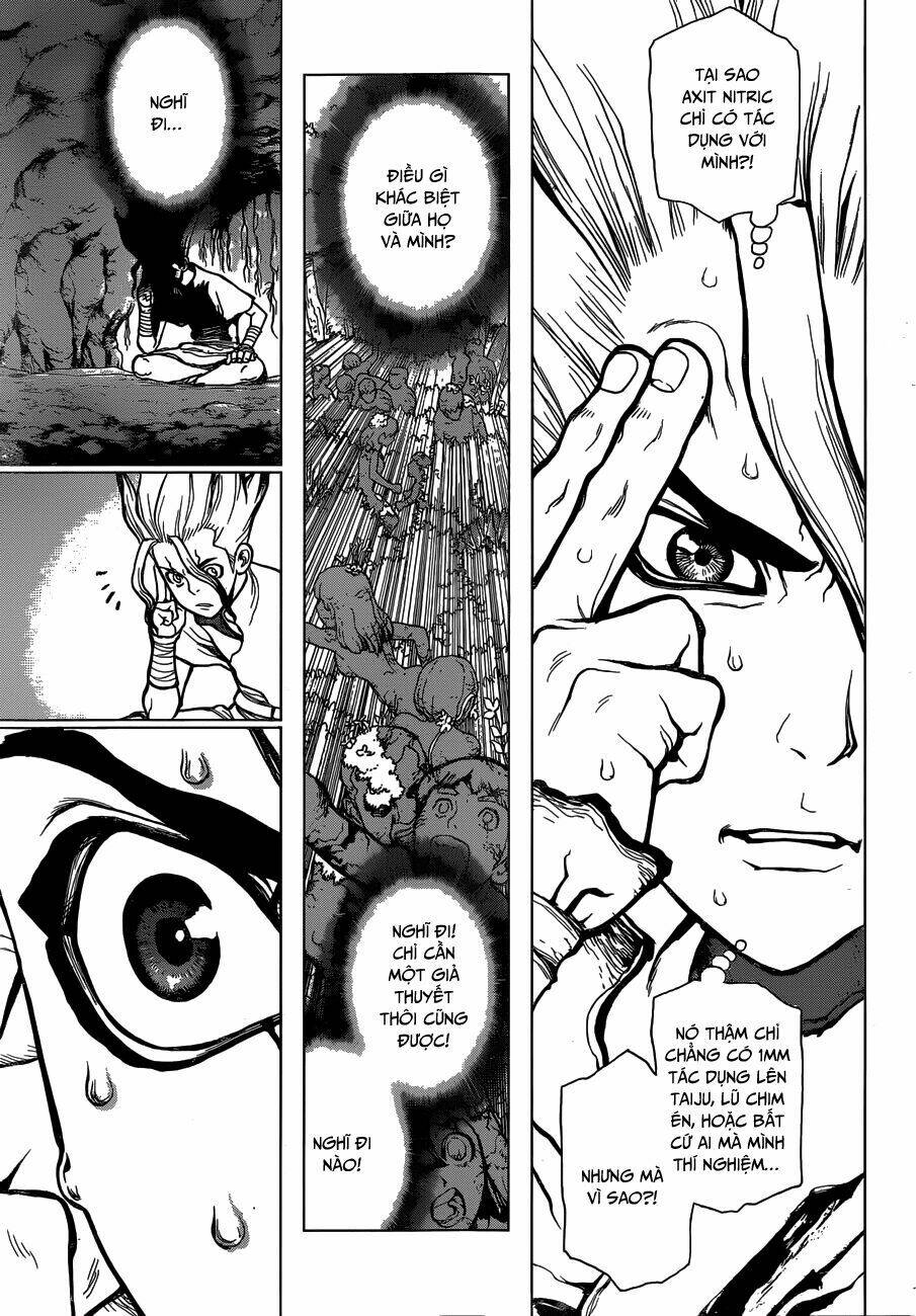 dr-stone-hoi-sinh-the-gioi/11