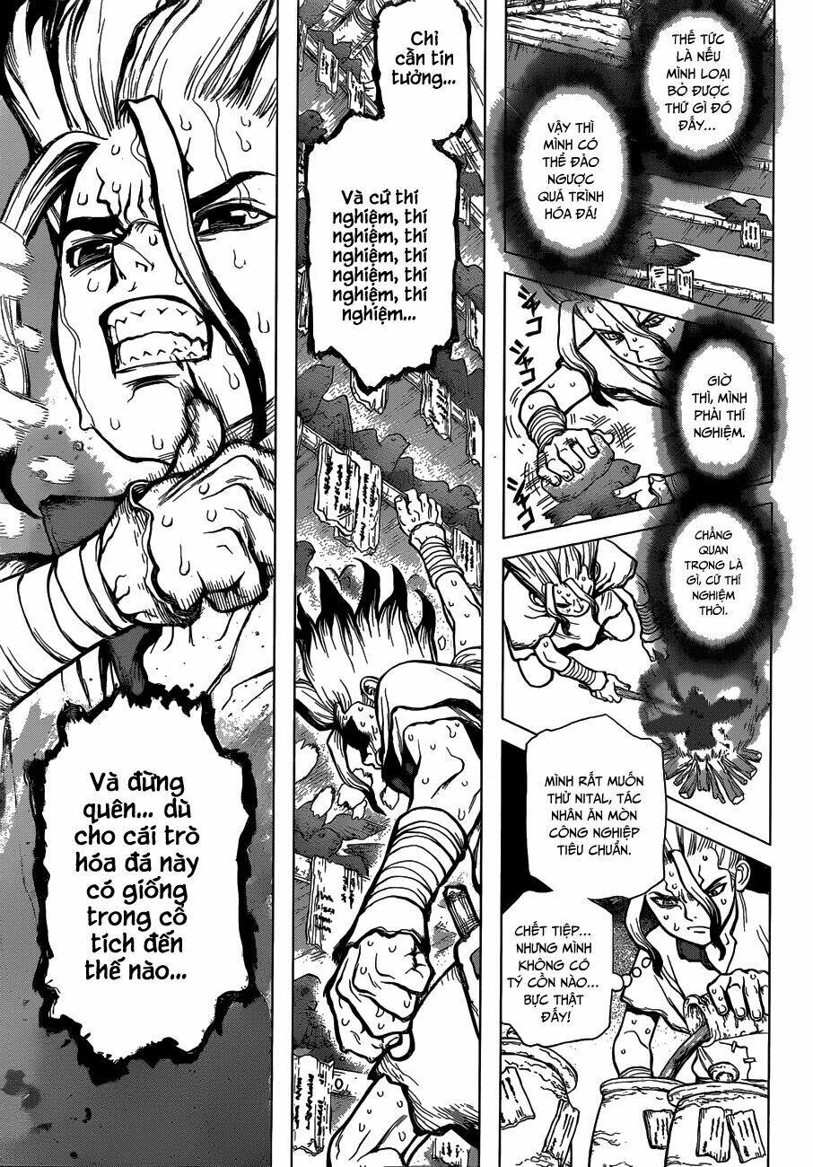 dr-stone-hoi-sinh-the-gioi/13