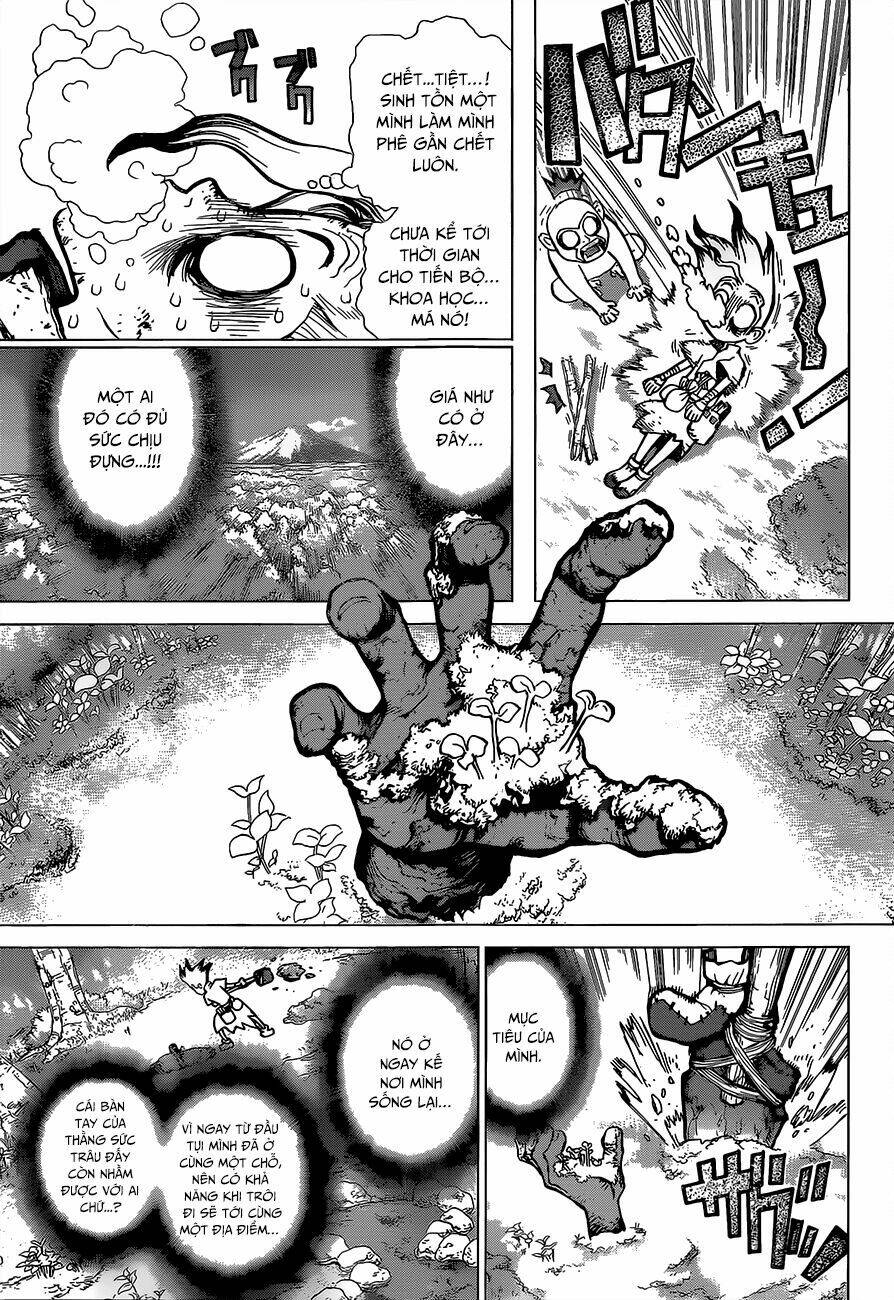 dr-stone-hoi-sinh-the-gioi/3