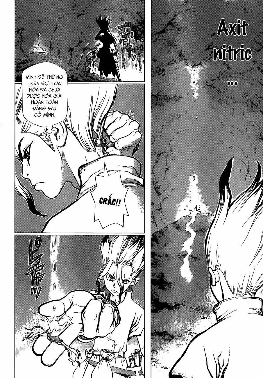 dr-stone-hoi-sinh-the-gioi/8