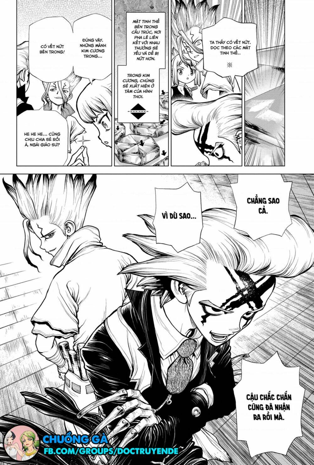 dr-stone-hoi-sinh-the-gioi/8