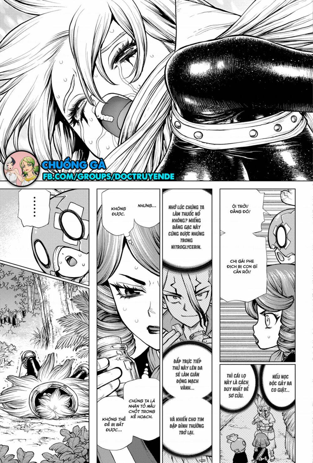 dr-stone-hoi-sinh-the-gioi/13