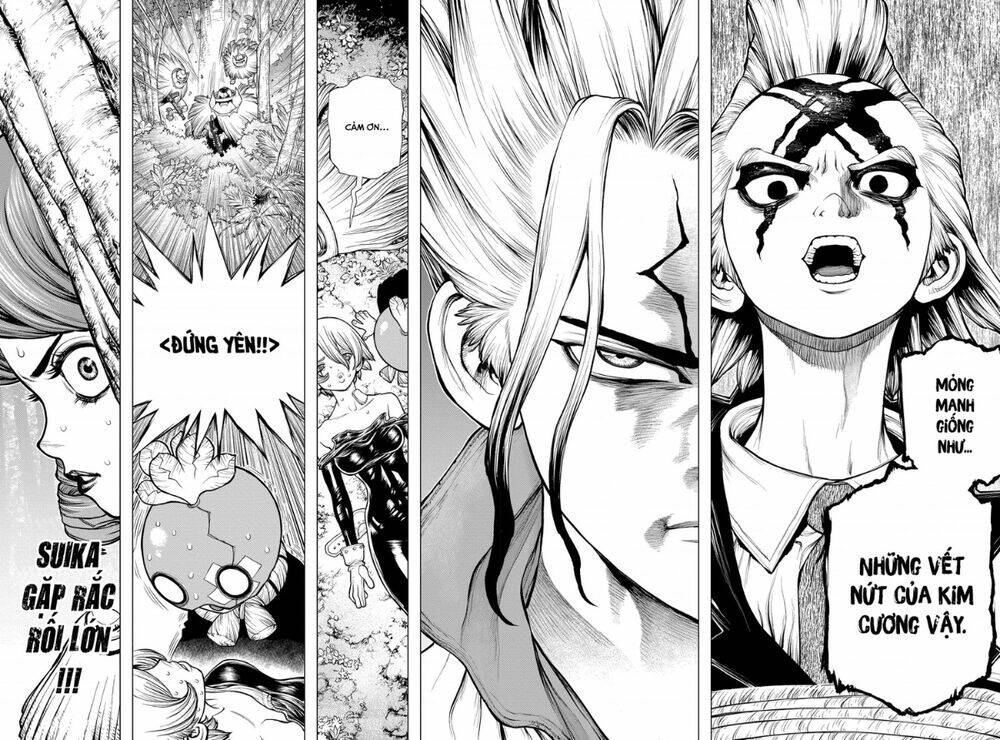 dr-stone-hoi-sinh-the-gioi/18