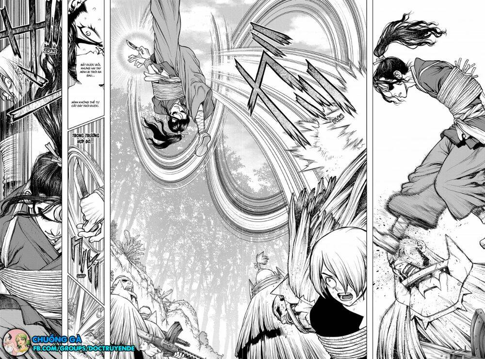 dr-stone-hoi-sinh-the-gioi/7