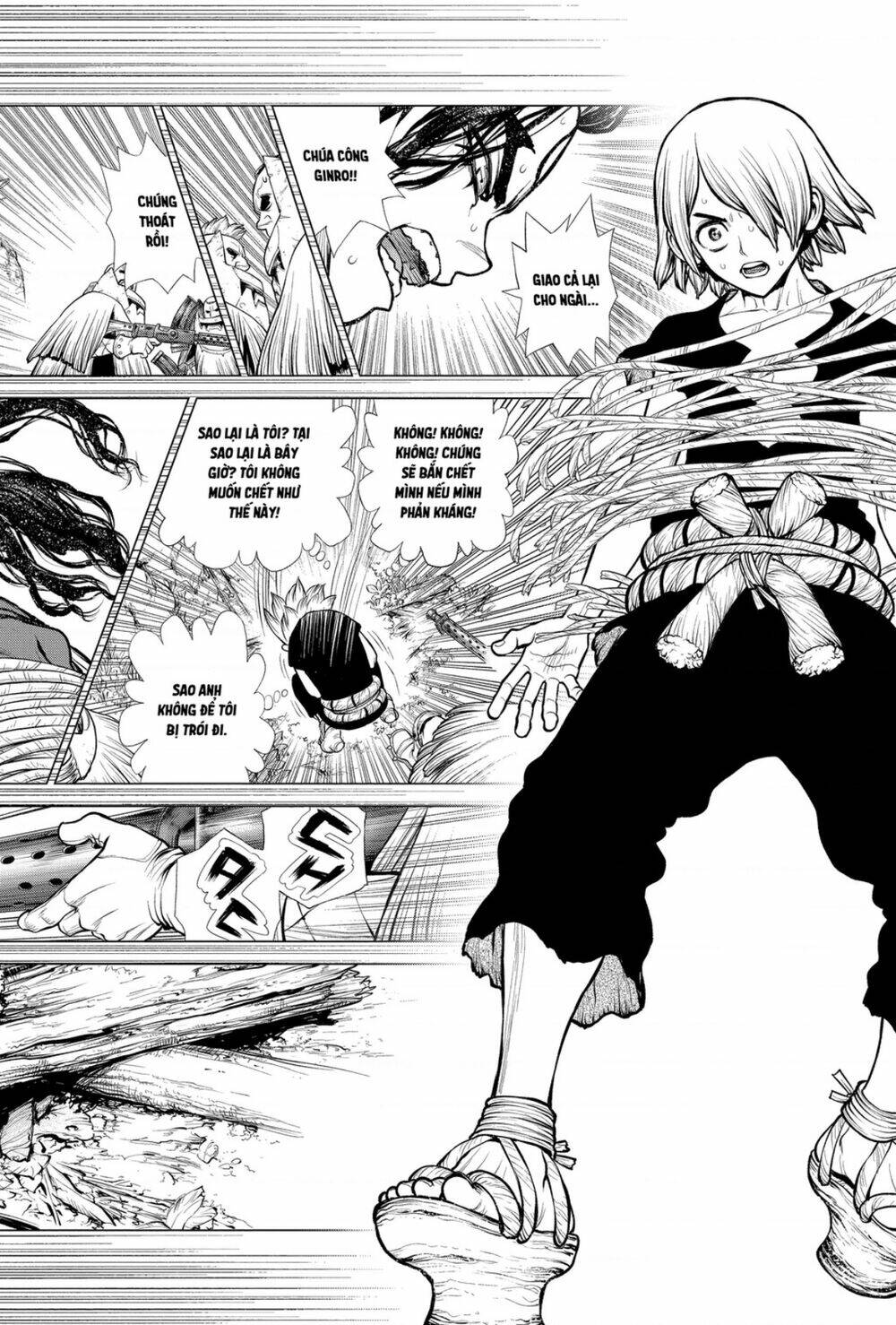 dr-stone-hoi-sinh-the-gioi/8