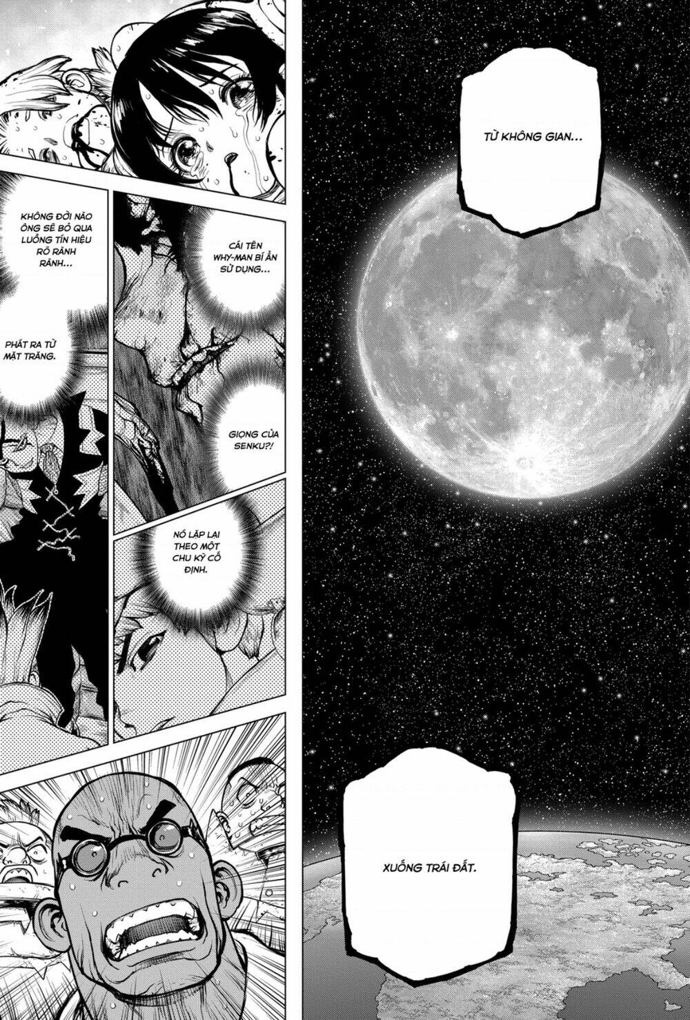 dr-stone-hoi-sinh-the-gioi/17