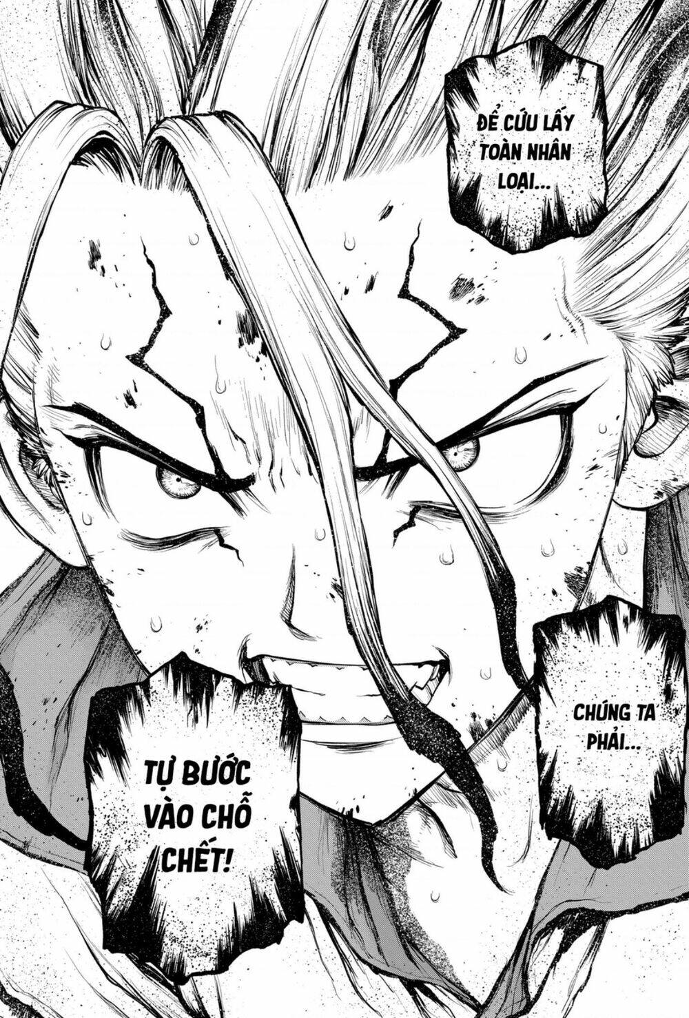 dr-stone-hoi-sinh-the-gioi/3