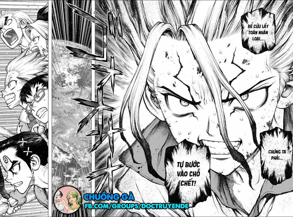 dr-stone-hoi-sinh-the-gioi/5