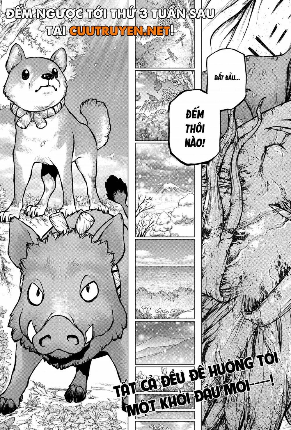 dr-stone-hoi-sinh-the-gioi/19