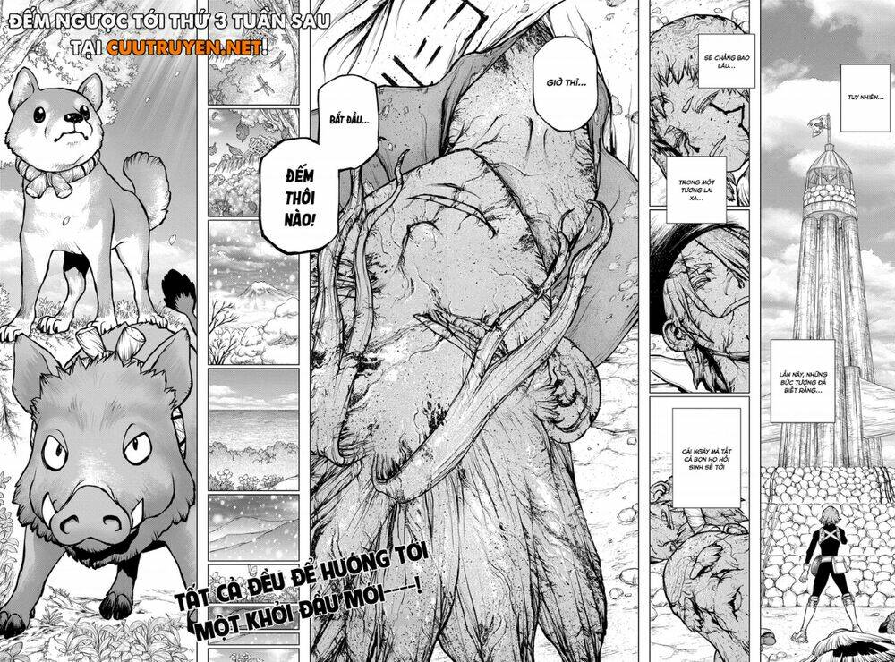 dr-stone-hoi-sinh-the-gioi/20