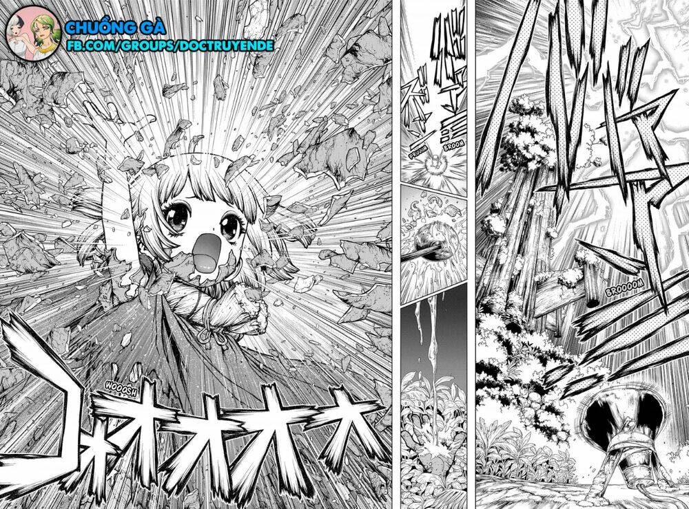 dr-stone-hoi-sinh-the-gioi/5