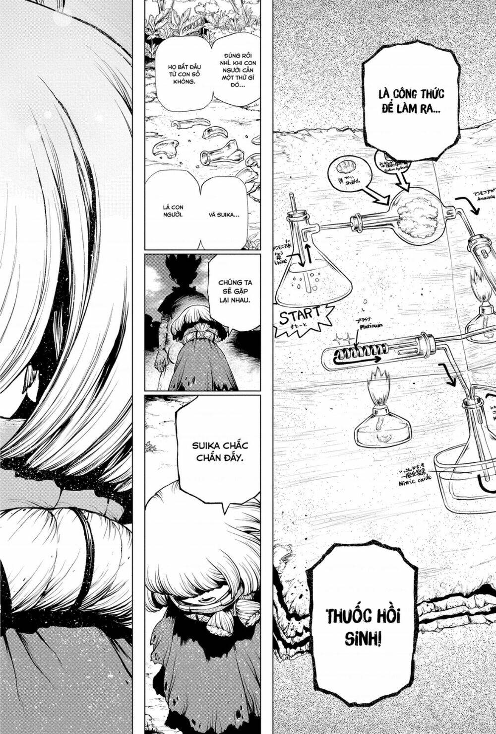 dr-stone-hoi-sinh-the-gioi/15