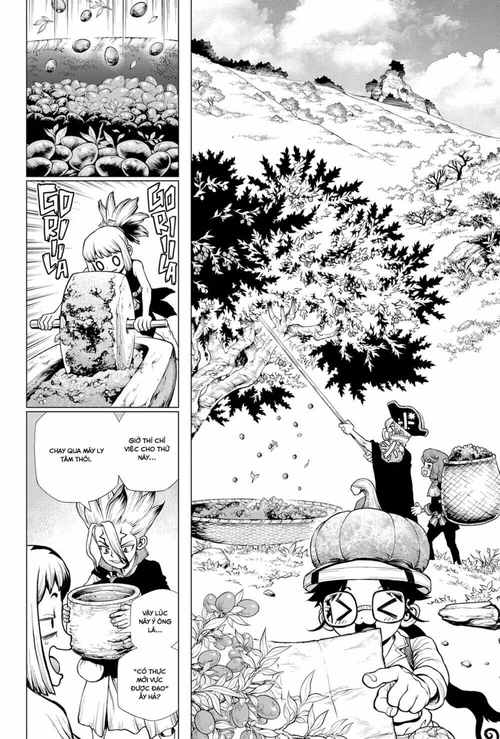 dr-stone-hoi-sinh-the-gioi/6