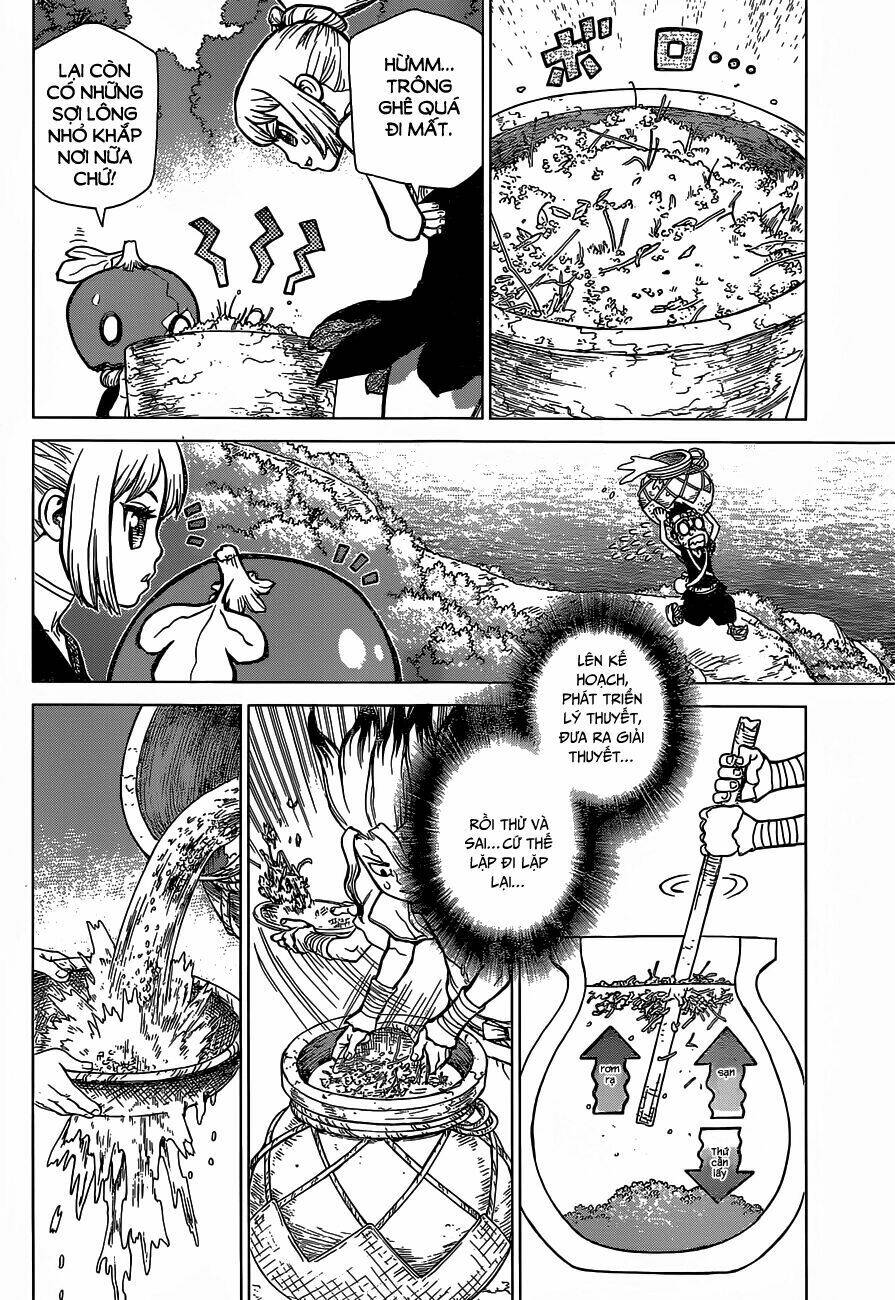 dr-stone-hoi-sinh-the-gioi/11