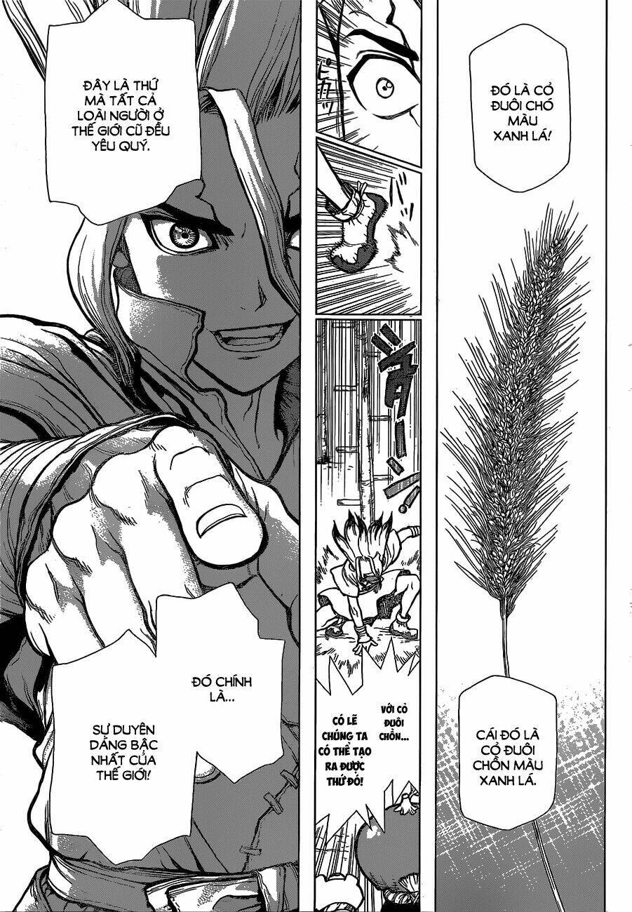 dr-stone-hoi-sinh-the-gioi/8