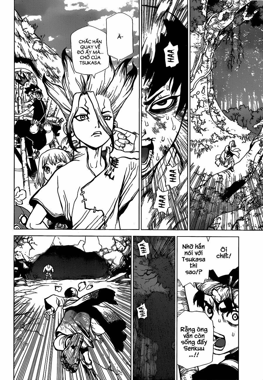 dr-stone-hoi-sinh-the-gioi/14