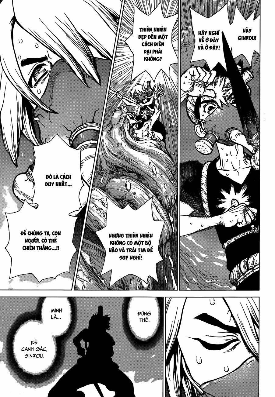 dr-stone-hoi-sinh-the-gioi/15