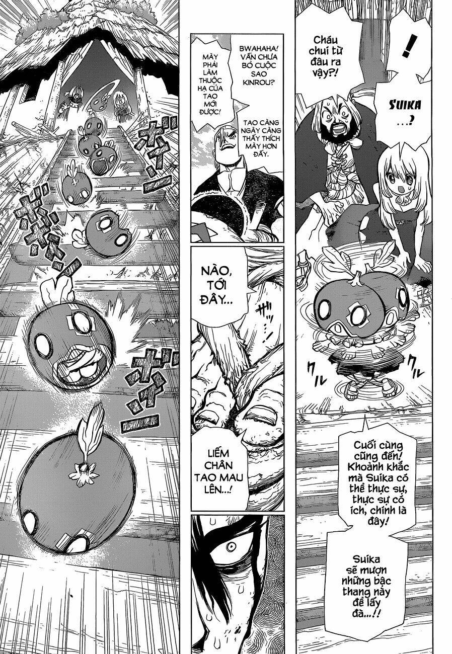 dr-stone-hoi-sinh-the-gioi/10