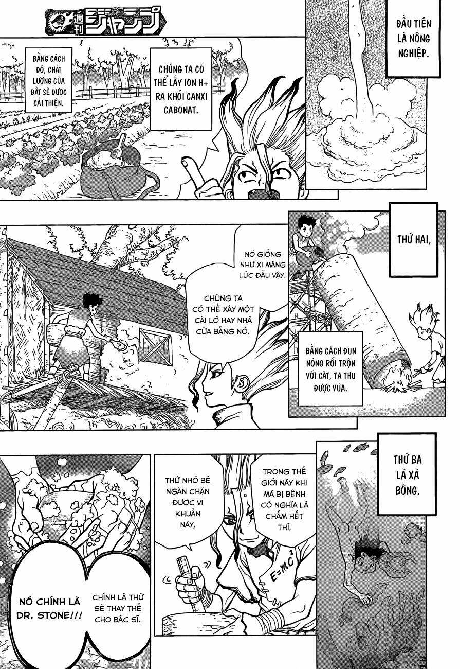 dr-stone-hoi-sinh-the-gioi/12