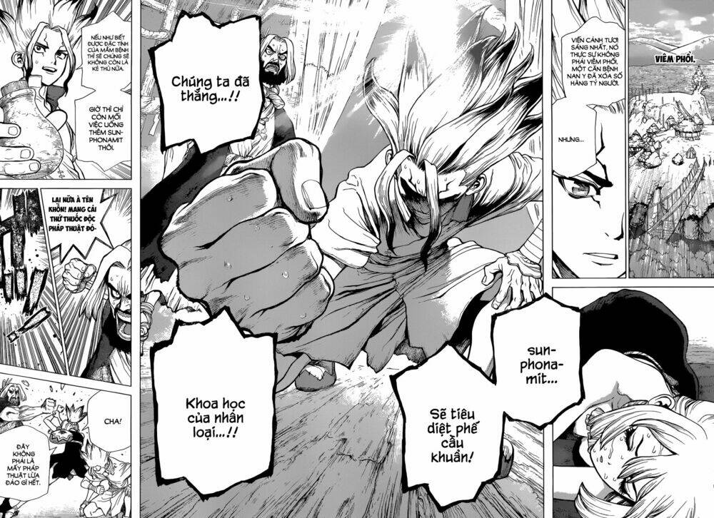 dr-stone-hoi-sinh-the-gioi/10