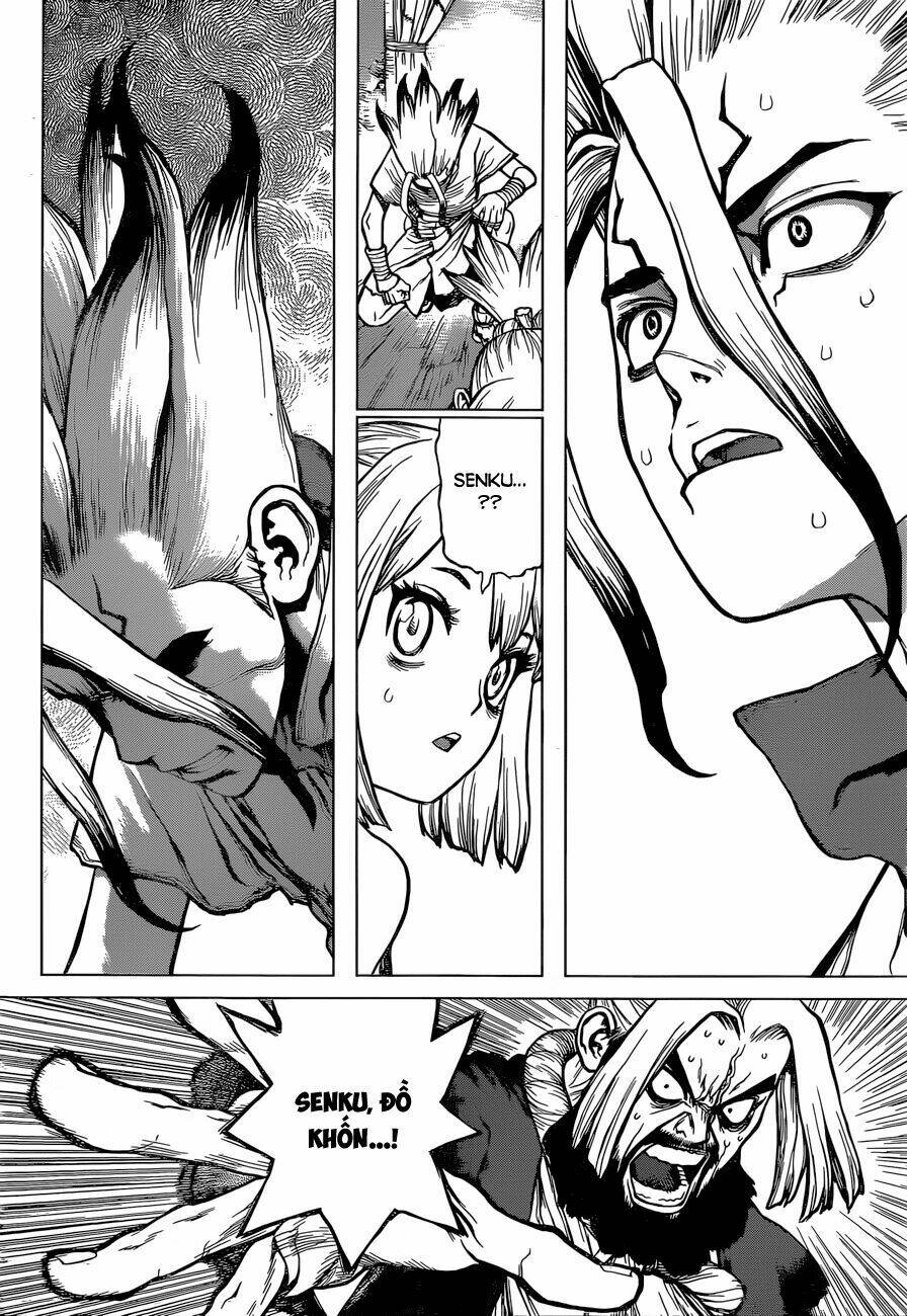 dr-stone-hoi-sinh-the-gioi/8