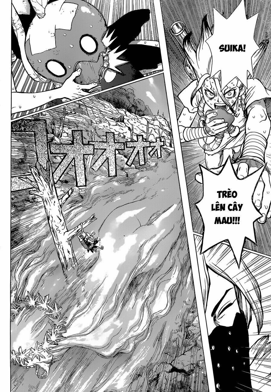 dr-stone-hoi-sinh-the-gioi/11