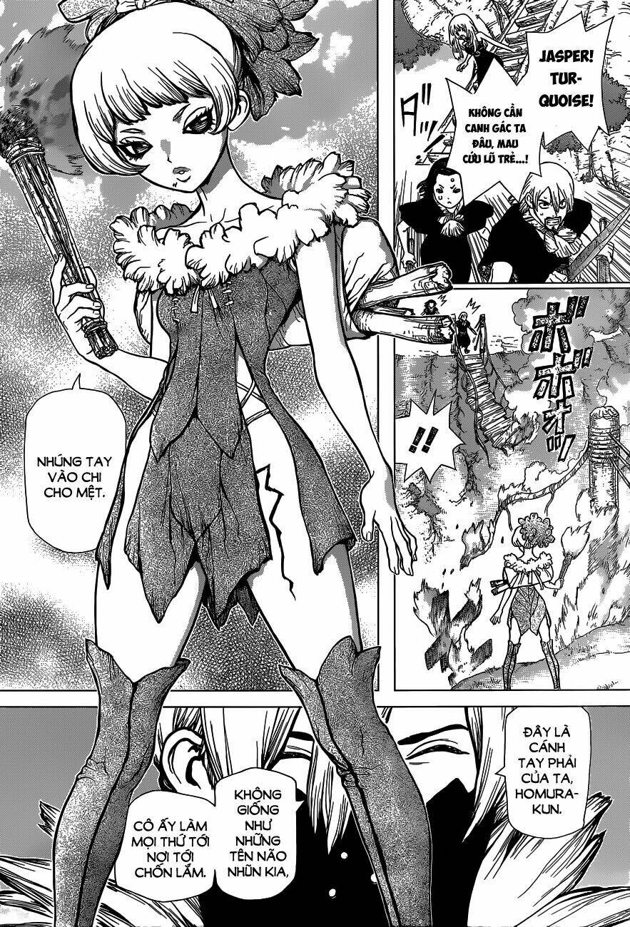 dr-stone-hoi-sinh-the-gioi/3