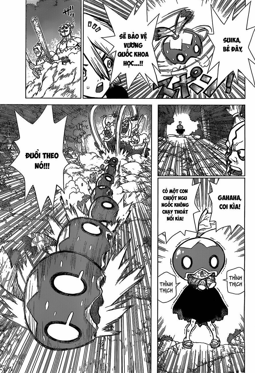 dr-stone-hoi-sinh-the-gioi/6