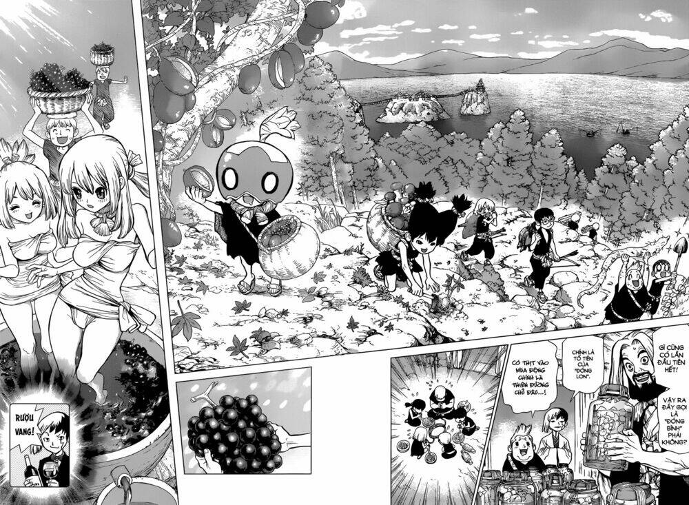 dr-stone-hoi-sinh-the-gioi/10