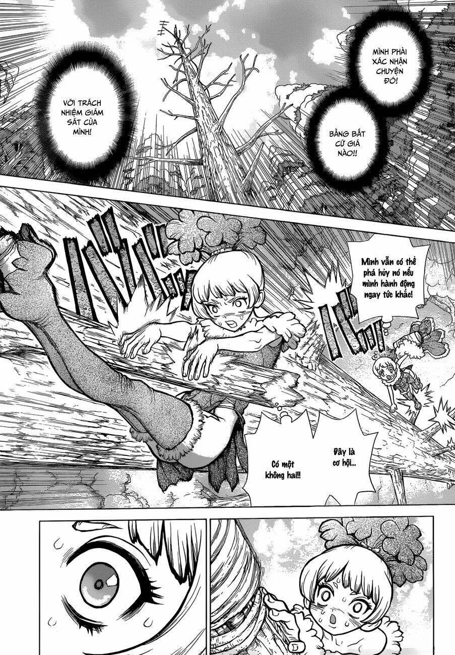 dr-stone-hoi-sinh-the-gioi/15