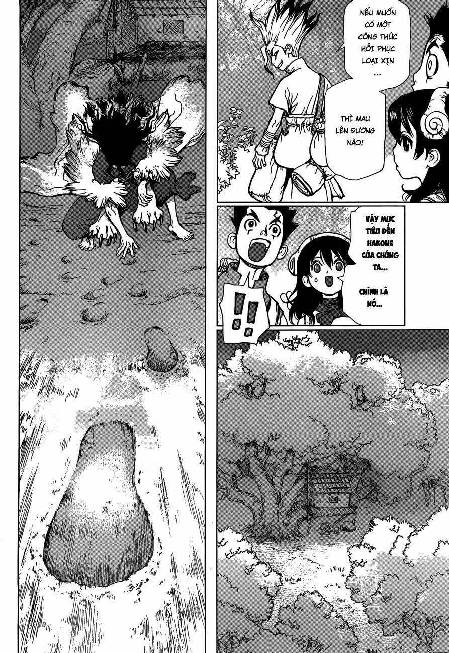 dr-stone-hoi-sinh-the-gioi/11